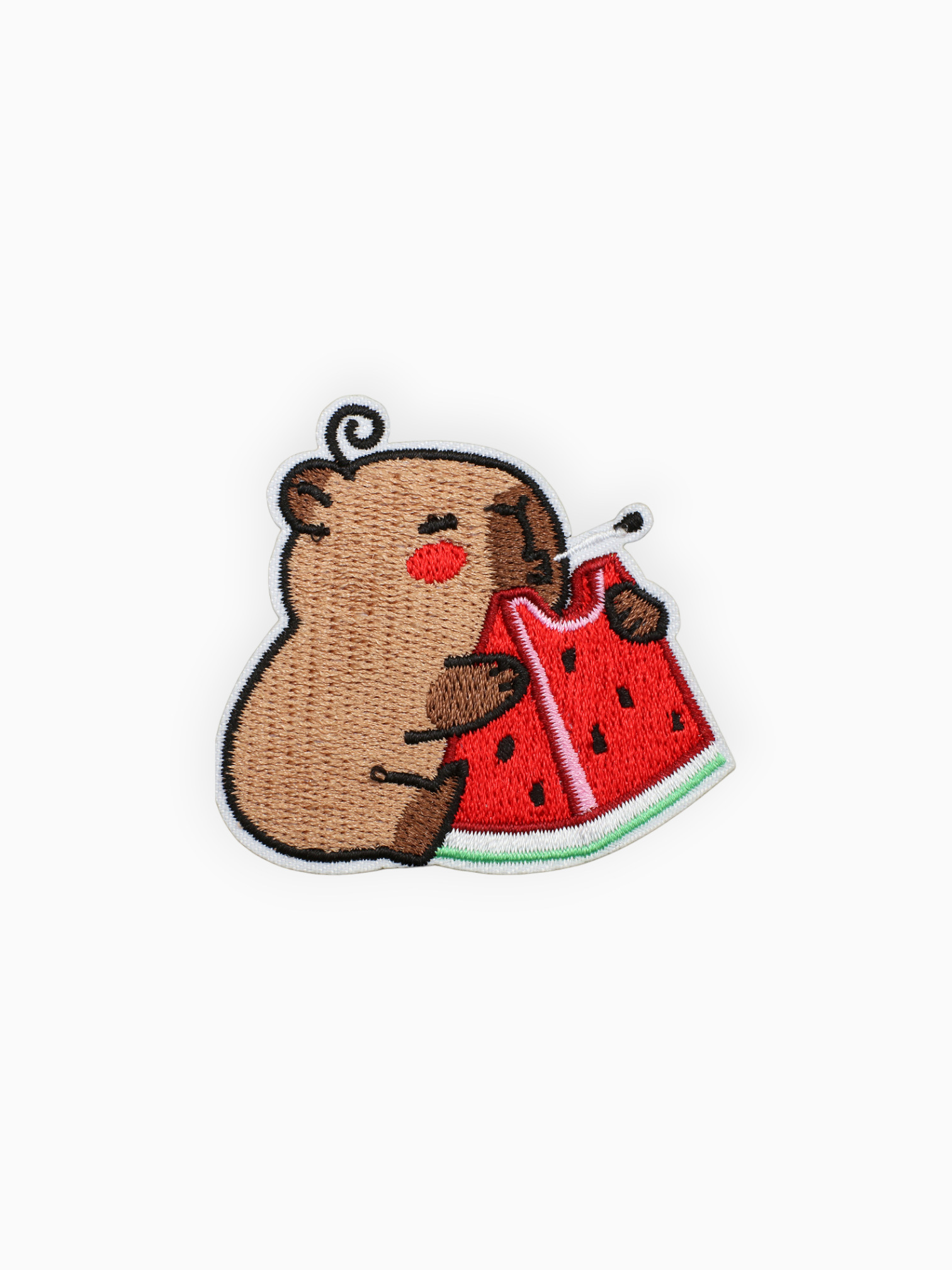 Capybara with Watermelon