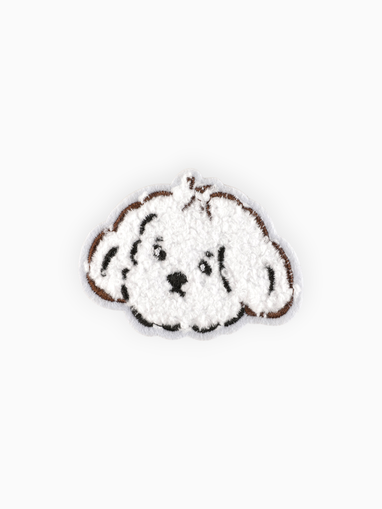 Fluffy White Dog