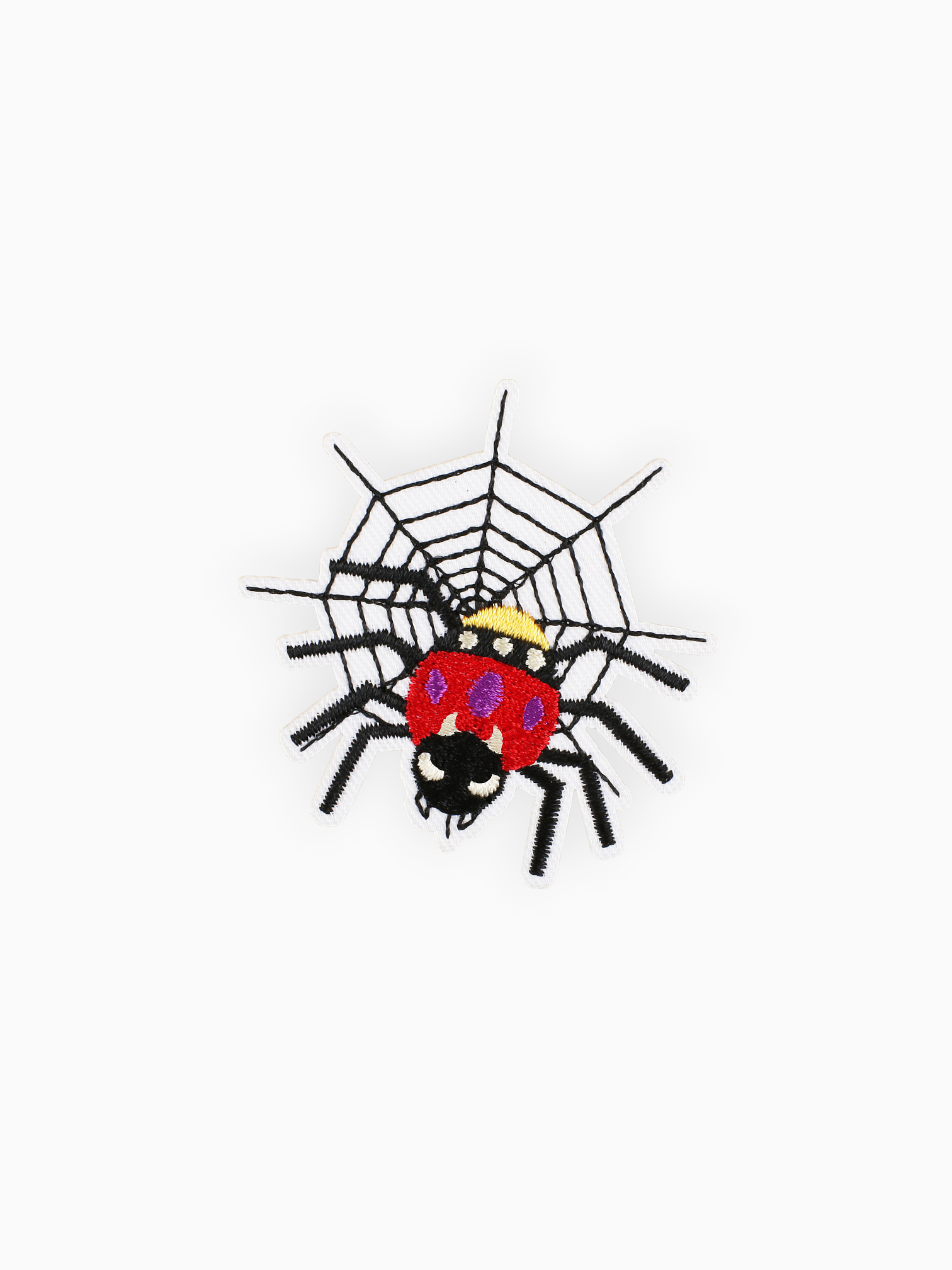 Spider Web