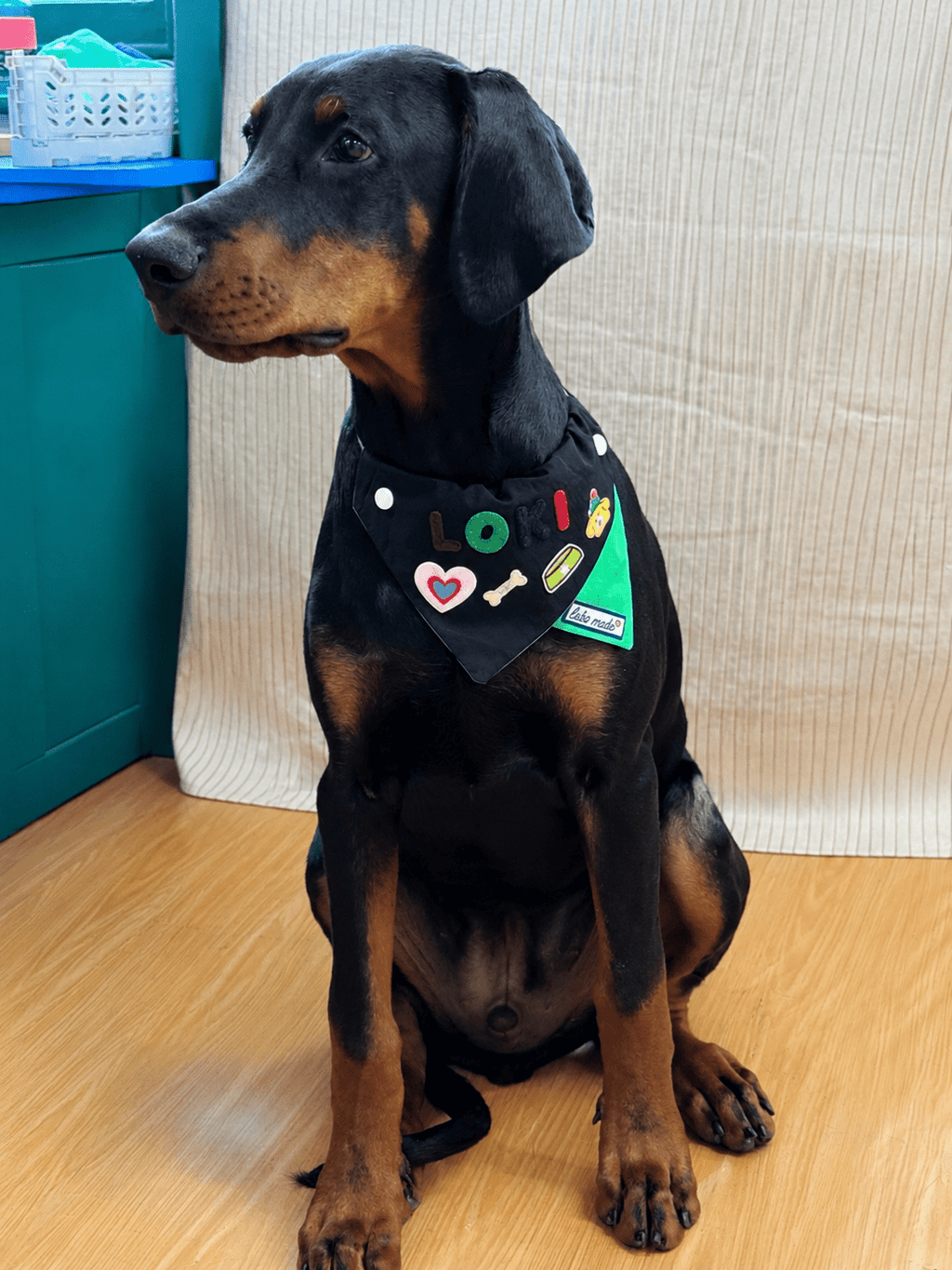 Mixed Colour Pet Bandana - Black & Green | Labö Made UK - The Manchester Patch Bar