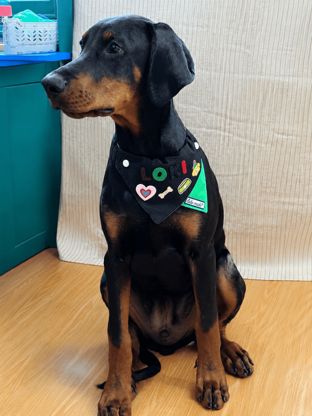 Mixed Colour Pet Bandana - Black & Green | Labö Made UK - The Manchester Patch Bar